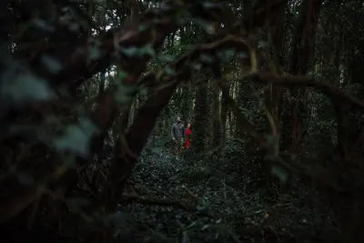 Engagement photoshoot in Sintra by Denis Erroyaux