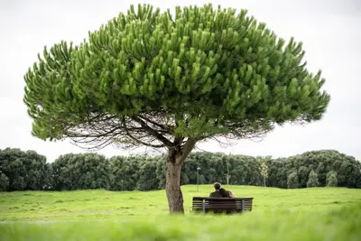 photoshoot by Gonçalo Feyo